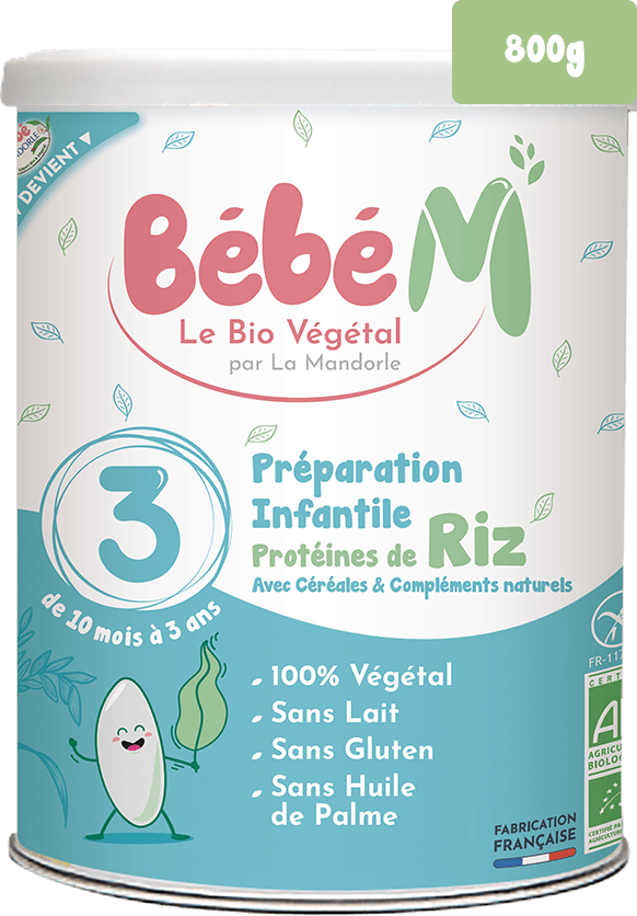 Lait Vegetal Bio A Base De Riz Cereales Bio Pour Bebe Bebe M